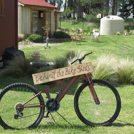 مبيت وإفطار Waipiata Behind The Bike Sheds المظهر الخارجي الصورة